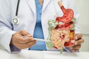 Digestive Care