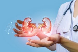 Kidney Health Support